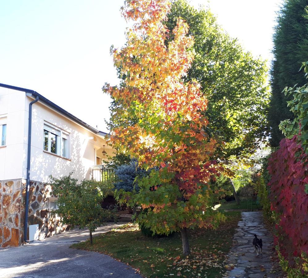 La Madriguera Apartment Otero de Herreros ภายนอก รูปภาพ